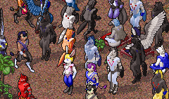 please disregard the caped bunny